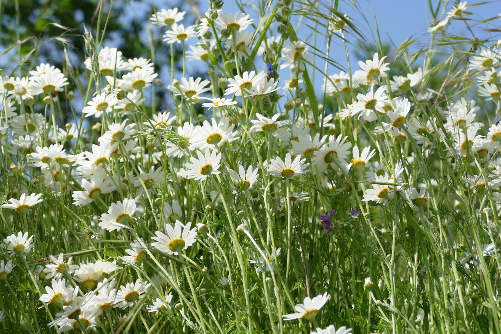 Naturgarten Karlsfeld In Der Schoenen Lausitz Welzow Exterior photo